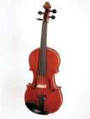 Stentor Elysia violin