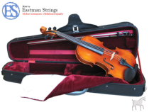 Soundpost Westbury violin outfit